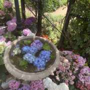 ヒメ日記 2025/06/27 12:00 投稿 みちる(みちる) 厚木奥様Life