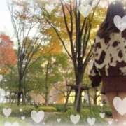 ヒメ日記 2025/11/22 11:56 投稿 西山 鶯谷人妻城