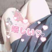 ヒメ日記 2024/12/29 00:39 投稿 ゆうひ 大阪和泉ちゃんこ