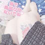 ヒメ日記 2025/02/01 20:19 投稿 ゆうひ 大阪和泉ちゃんこ