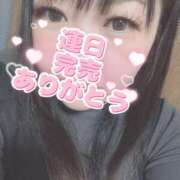 ヒメ日記 2025/02/05 10:29 投稿 ゆうひ 大阪和泉ちゃんこ