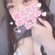 ヒメ日記 2025/02/22 19:39 投稿 ゆうひ 大阪和泉ちゃんこ