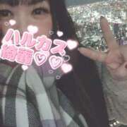 ヒメ日記 2025/02/25 23:29 投稿 ゆうひ 大阪和泉ちゃんこ