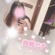 ヒメ日記 2025/03/14 23:39 投稿 ゆうひ 大阪和泉ちゃんこ