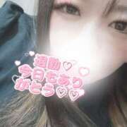 ヒメ日記 2025/04/15 02:19 投稿 ゆうひ 大阪和泉ちゃんこ