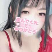 ヒメ日記 2025/07/02 22:29 投稿 ゆうひ 大阪和泉ちゃんこ