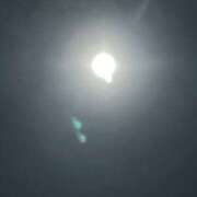 ヒメ日記 2025/07/20 08:19 投稿 ゆうひ 大阪和泉ちゃんこ