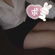 ヒメ日記 2025/03/26 16:30 投稿 つくし ラッシュアワー