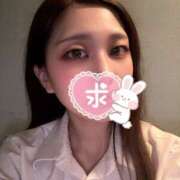 ヒメ日記 2025/04/04 16:16 投稿 つくし ラッシュアワー