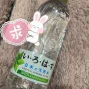 ヒメ日記 2025/04/06 15:00 投稿 つくし ラッシュアワー