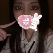 ヒメ日記 2025/04/11 16:20 投稿 つくし ラッシュアワー