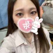 ヒメ日記 2025/04/15 16:44 投稿 つくし ラッシュアワー