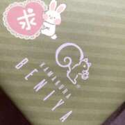 ヒメ日記 2025/06/07 13:41 投稿 つくし ラッシュアワー