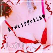 ヒメ日記 2025/04/15 12:46 投稿 石破　翠(いしばしすい) 五十路マダムエクスプレス厚木店(カサブランカグループ)