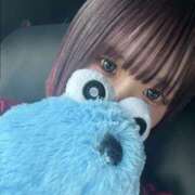 ヒメ日記 2025/11/26 11:40 投稿 こあく バカンス学園　谷九校