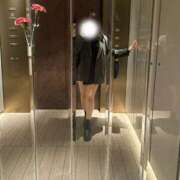 ヒメ日記 2026/04/11 09:54 投稿 ちなつ 激安ソープの殿堂　ボイン・ホーテ