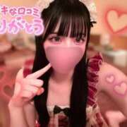 ヒメ日記 2025/02/15 13:21 投稿 くれあ G-STAGE（京都グループ）