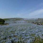 葉月 青い絶景🌿💙 サブマリン