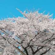 ヒメ日記 2025/04/05 07:40 投稿 りょう 熟女＆人妻＆ぽっちゃり倶楽部