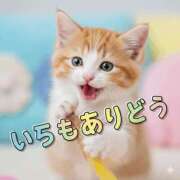 ヒメ日記 2026/01/15 12:33 投稿 いつき 京都デリヘル倶楽部FIRST