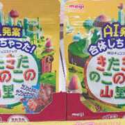 ヒメ日記 2026/04/15 12:30 投稿 いつき 京都デリヘル倶楽部FIRST