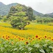 ヒメ日記 2024/12/17 18:49 投稿 スズナ マドンナ(仙台)