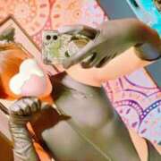 ヒメ日記 2025/01/09 10:48 投稿 いつき 京都ホテヘル倶楽部