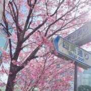 ヒメ日記 2026/04/05 18:07 投稿 いつき 京都ホテヘル倶楽部