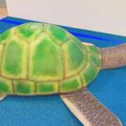 ヒメ日記 2026/09/10 10:37 投稿 いつき 京都ホテヘル倶楽部