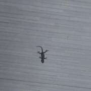 ヒメ日記 2025/06/19 19:36 投稿 ななせ ラブライフ大宮岩槻店