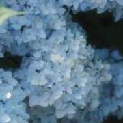 ヒメ日記 2025/05/30 12:07 投稿 ななせ ラブライフさいたま