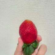 ヒメ日記 2025/03/30 20:27 投稿 まりあ 激安ソープの殿堂　ボイン・ホーテ