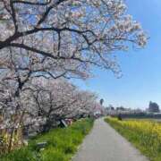 ヒメ日記 2025/04/09 21:27 投稿 まりあ 激安ソープの殿堂　ボイン・ホーテ