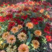 ヒメ日記 2025/12/08 20:01 投稿 まりあ 激安ソープの殿堂　ボイン・ホーテ