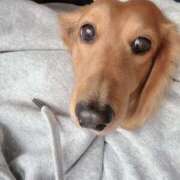 ヒメ日記 2025/03/03 16:35 投稿 【さほ】業界完全未経験♪ バブルリングプラス