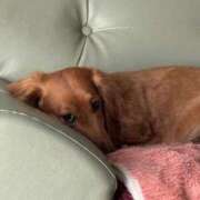 ヒメ日記 2025/03/13 13:48 投稿 【さほ】業界完全未経験♪ バブルリングプラス