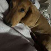 ヒメ日記 2025/05/02 07:48 投稿 【さほ】業界完全未経験♪ バブルリングプラス