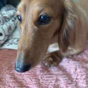 ヒメ日記 2025/05/08 09:42 投稿 【さほ】業界完全未経験♪ バブルリングプラス