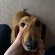 ヒメ日記 2025/06/19 18:03 投稿 【さほ】業界完全未経験♪ バブルリングプラス