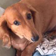 ヒメ日記 2025/07/30 15:21 投稿 【さほ】業界完全未経験♪ バブルリングプラス