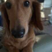 ヒメ日記 2025/08/10 19:03 投稿 【さほ】業界完全未経験♪ バブルリングプラス