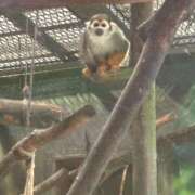 ヒメ日記 2025/10/06 13:06 投稿 【さほ】業界完全未経験♪ バブルリングプラス