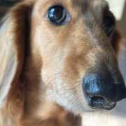 ヒメ日記 2025/10/30 11:18 投稿 【さほ】業界完全未経験♪ バブルリングプラス