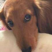 ヒメ日記 2026/02/14 17:13 投稿 【さほ】業界完全未経験♪ バブルリングプラス