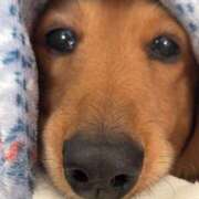 ヒメ日記 2026/03/14 14:19 投稿 【さほ】業界完全未経験♪ バブルリングプラス