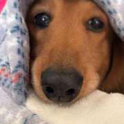 ヒメ日記 2026/03/25 08:42 投稿 【さほ】業界完全未経験♪ バブルリングプラス