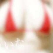 ヒメ日記 2025/09/04 04:18 投稿 れいな 成田富里インターちゃんこ