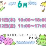 ヒメ日記 2026/06/09 19:48 投稿 れいな 成田富里インターちゃんこ