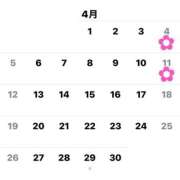 ヒメ日記 2026/03/31 23:16 投稿 あおい リアル 京橋店