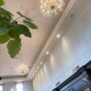 ヒメ日記 2025/02/28 15:38 投稿 ゆずき i フルバック